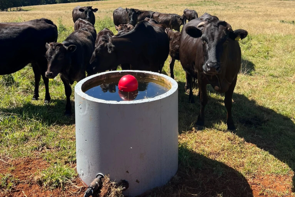 Livestock Watering Trough